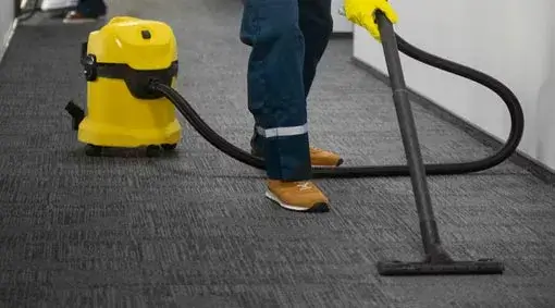 Carpet cleaner